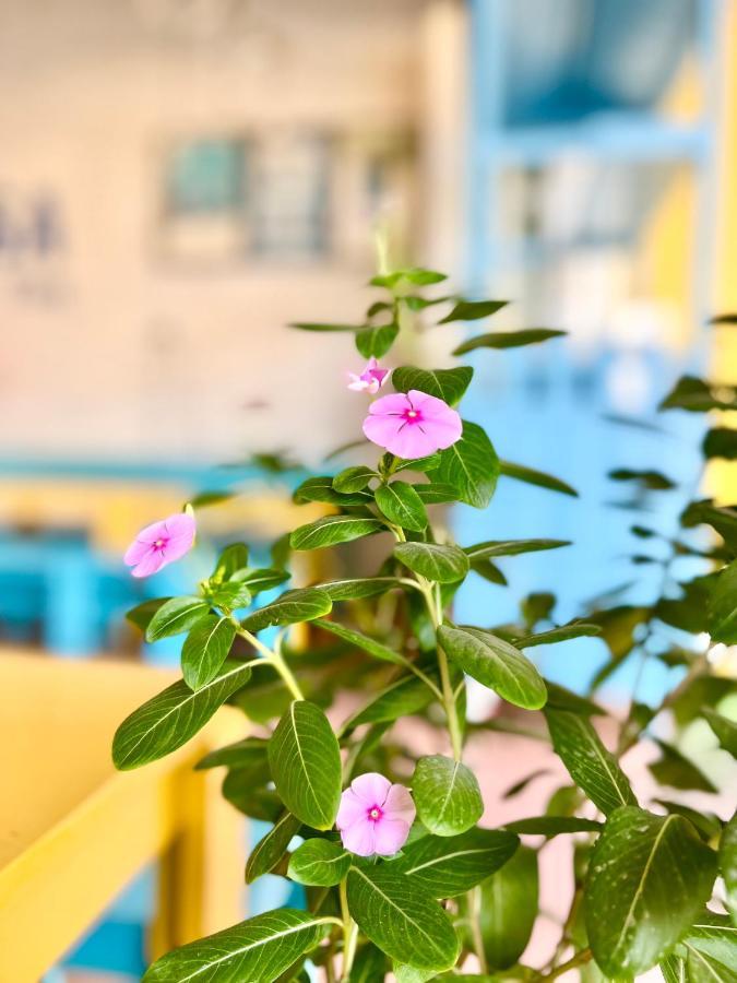 La Casa Homestay - 11B Anh Dao, Bai Chay Hạ Long-öböl Kültér fotó